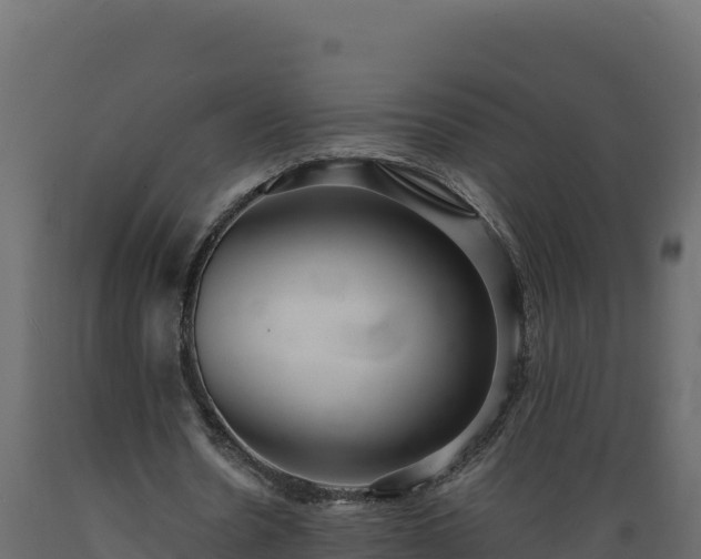 X0000089930530200707061041