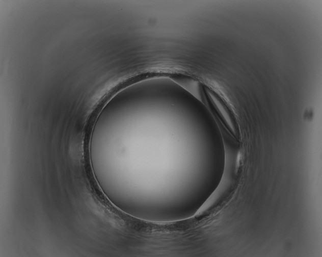 X0000089930531200707061041