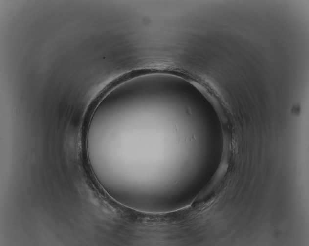 X0000089930532200707061041