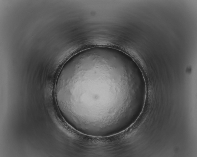 X0000089930533200707061041