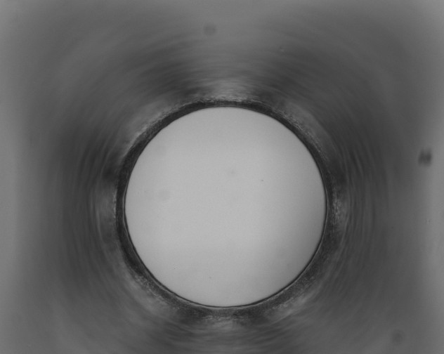 X0000089930534200707061041