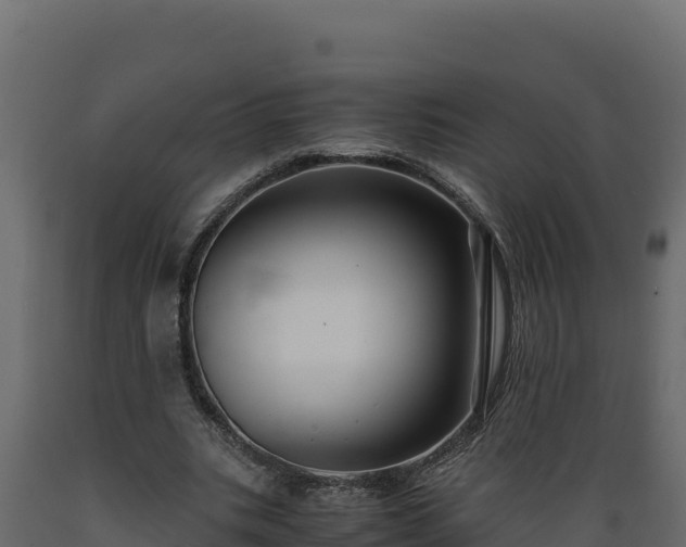 X0000089930535200707061041