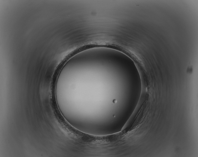 X0000089930536200707061041