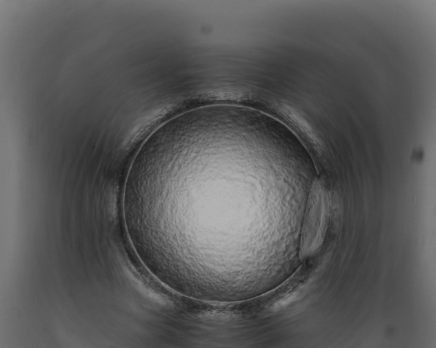 X0000089930537200707061041