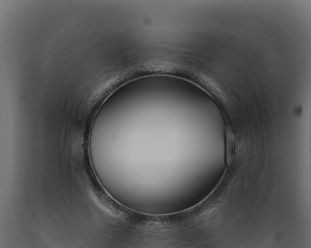 X0000089930538200707061041