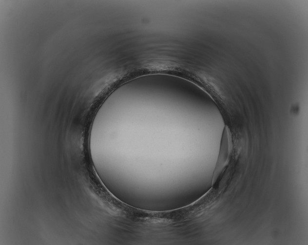 X0000089930539200707061041