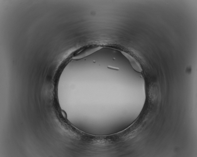 X0000089930540200707061041