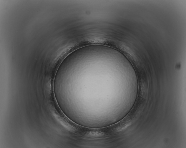 X0000089930541200707061041