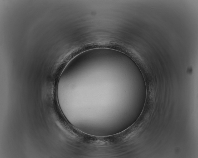 X0000089930542200707061041