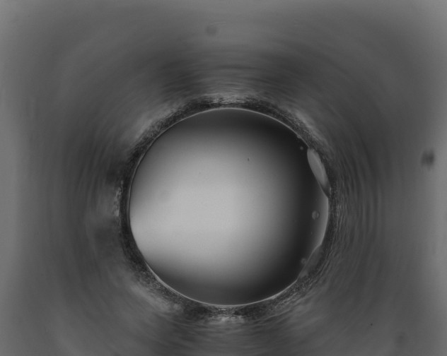 X0000089930543200707061041