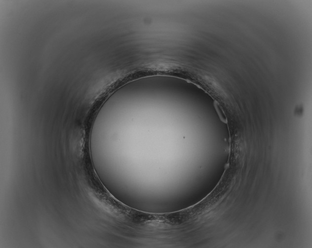 X0000089930544200707061041