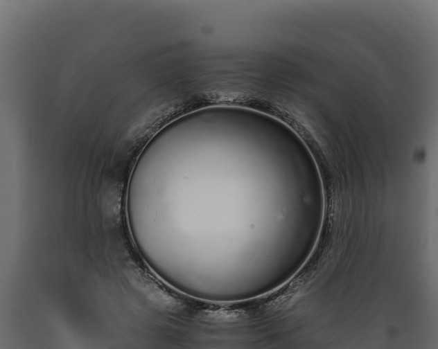 X0000089930545200707061041