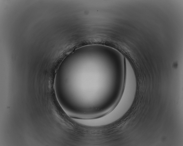 X0000089930546200707061041