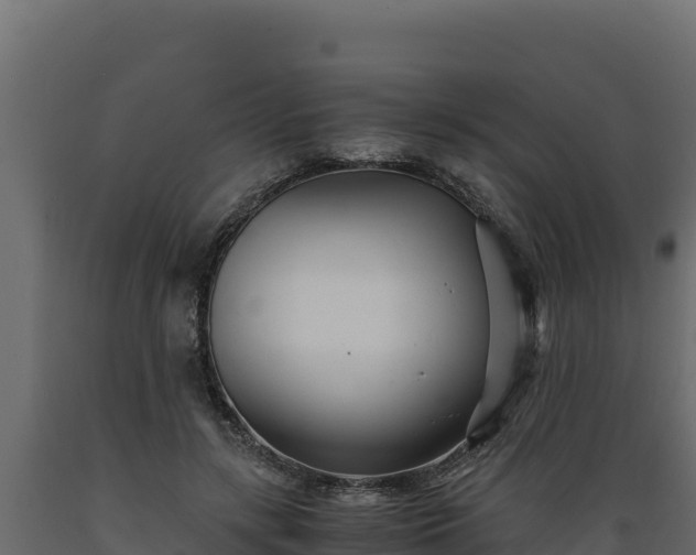 X0000089930547200707061041