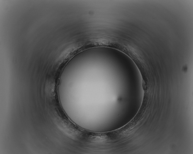 X0000089930548200707061041