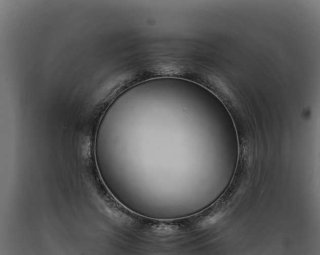 X0000089930549200707061041