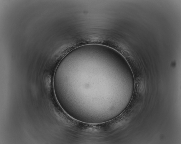 X0000089930550200707061041