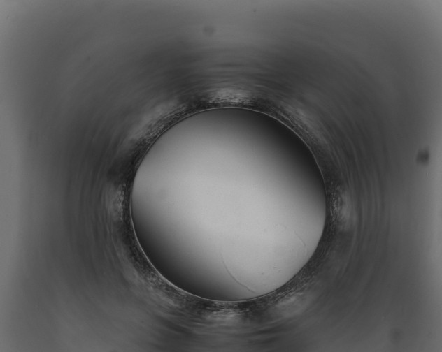 X0000089930551200707061041