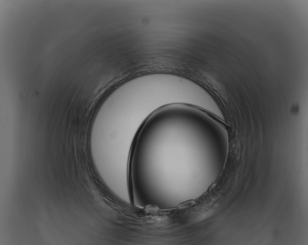 X0000089930552200707061041