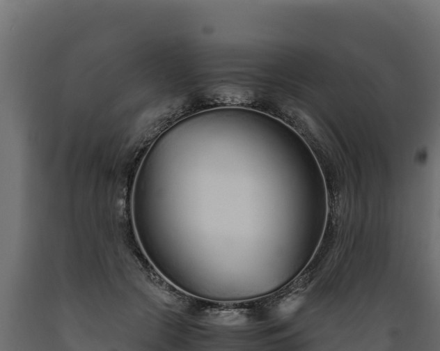 X0000089930553200707061042