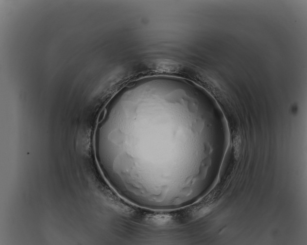 X0000089930554200707061042