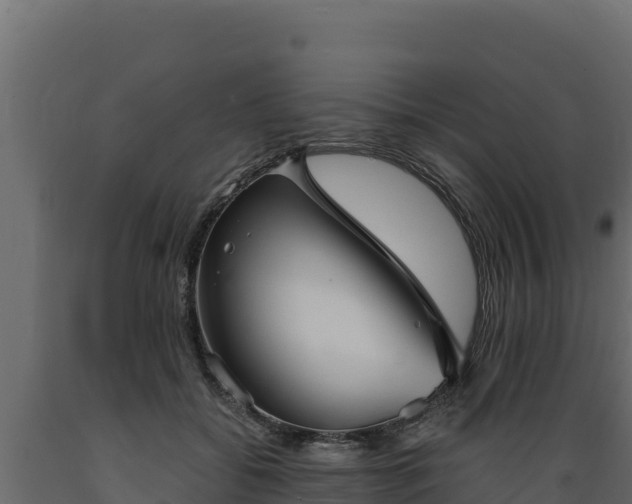 X0000089930556200707061042