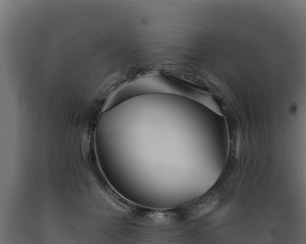 X0000089930558200707061042