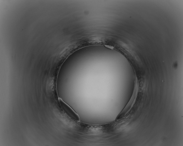 X0000089930560200707061042