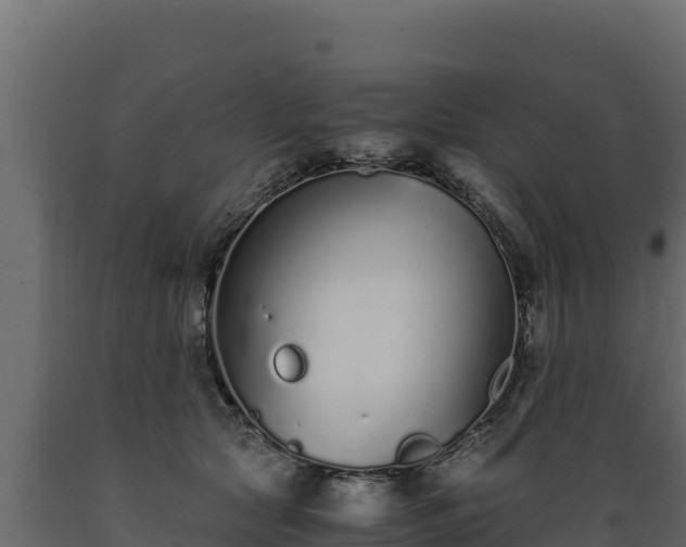 X0000089930561200707061042