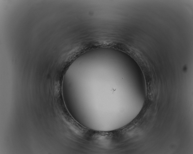 X0000089930563200707061042