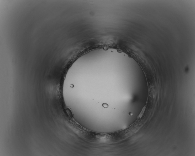 X0000089930564200707061042