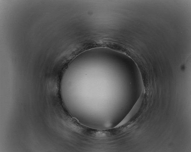 X0000089930566200707061042