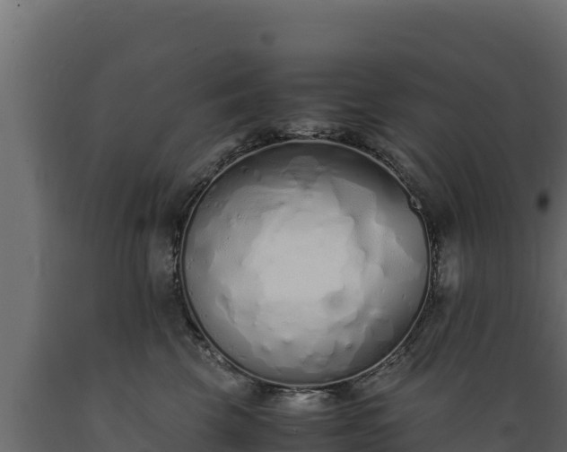 X0000089930569200707061042