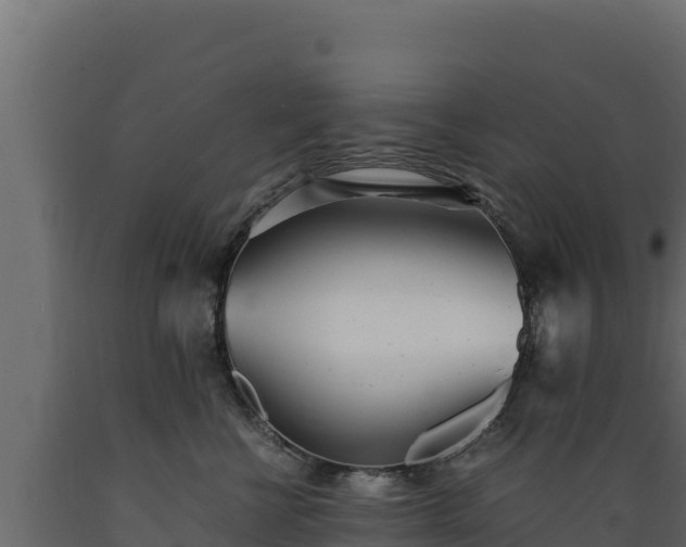 X0000089930570200707061042