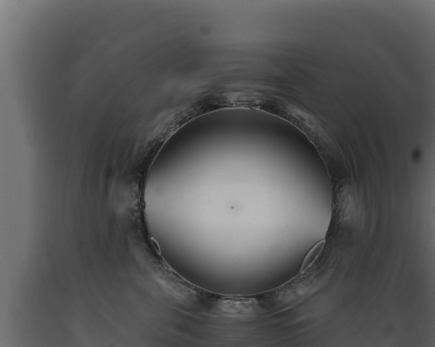 X0000089930571200707061042