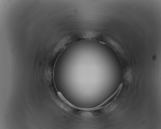 X0000089930572200707061042