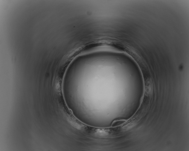 X0000089930573200707061042