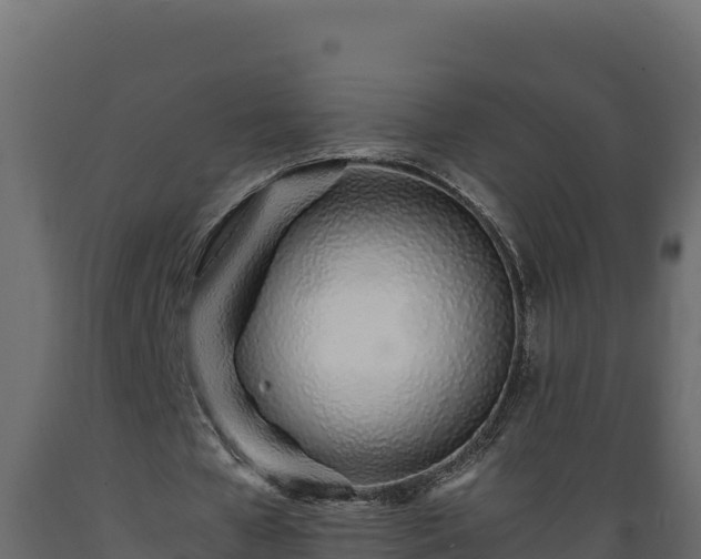 X0000089930577200707061041