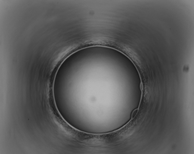 X0000089930578200707061041