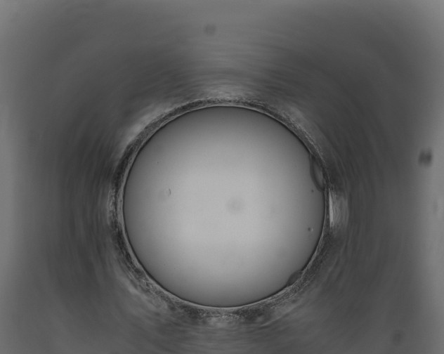 X0000089930579200707061041