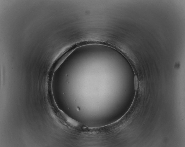 X0000089930580200707061041