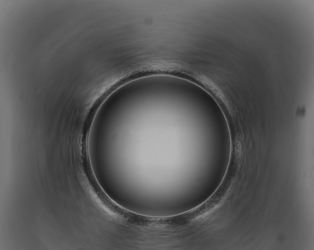 X0000089930581200707061041