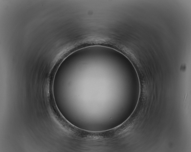 X0000089930582200707061041