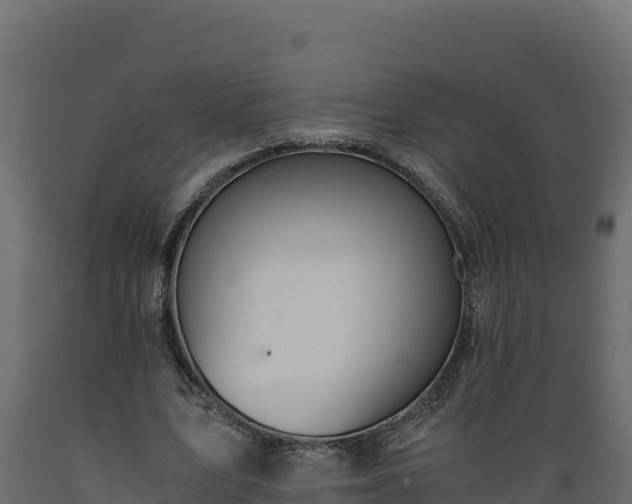 X0000089930583200707061041