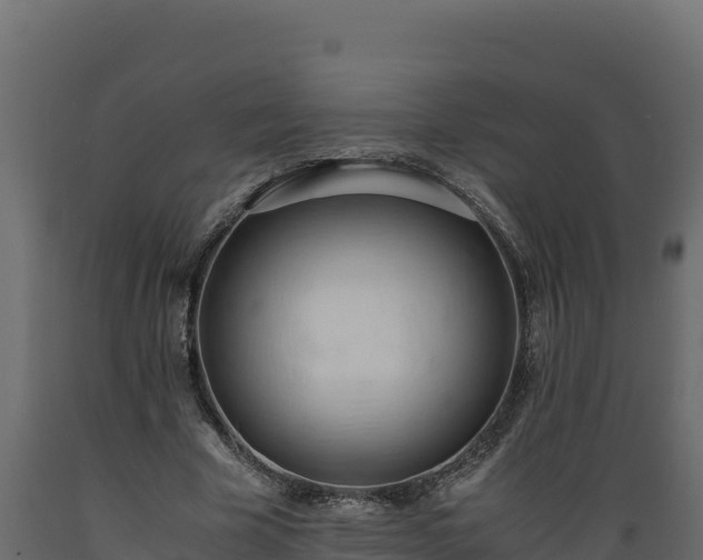 X0000089930585200707061041