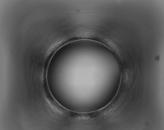 X0000089930586200707061041