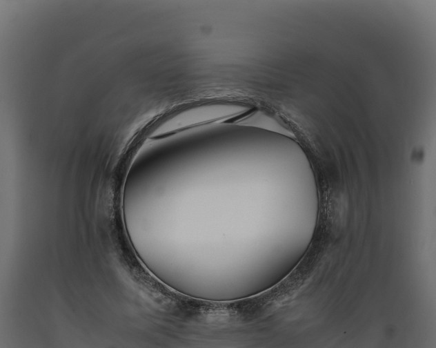 X0000089930587200707061041