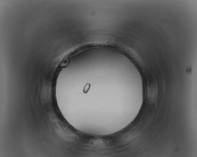 X0000089930588200707061041