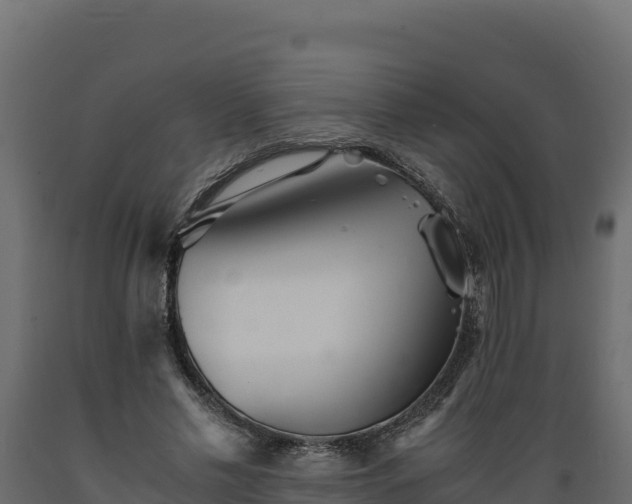 X0000089930589200707061041