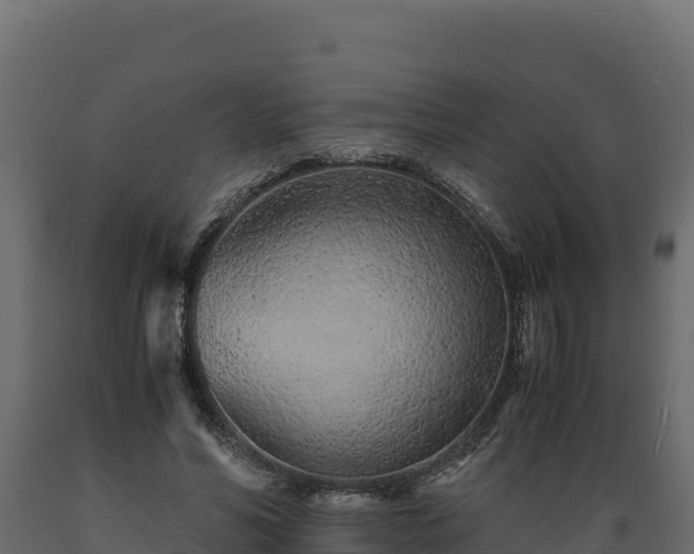 X0000089930590200707061041